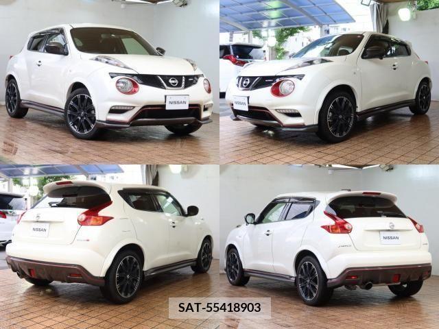 Nissan JUKE 2015-11 313925-2