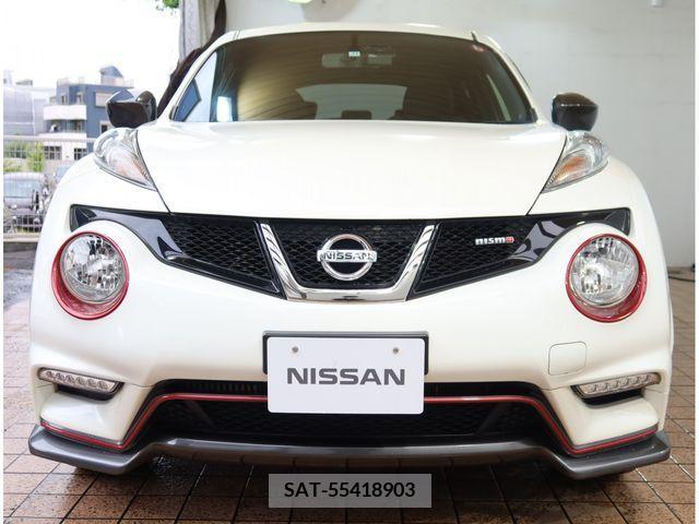 Nissan JUKE 2015-11 313925-8