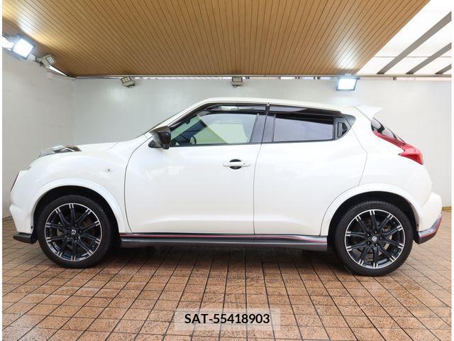 Nissan JUKE 2015-11 313925-7