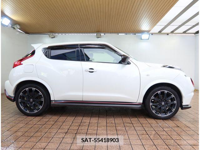 Nissan JUKE 2015-11 313925-6