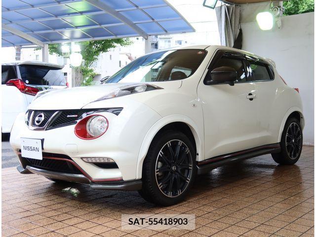 Nissan JUKE 2015-11 313925-20