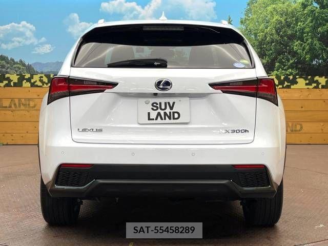 Lexus NX 2018-03 362952-15
