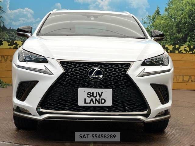 Lexus NX 2018-03 362952-14