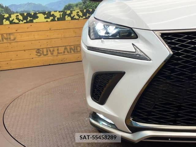 Lexus NX 2018-03 362952-12