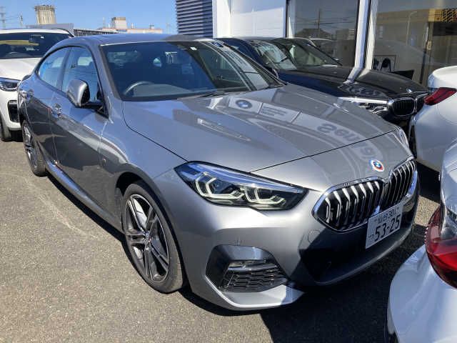 Bmw 2 SERIES 2023-03 24660-0