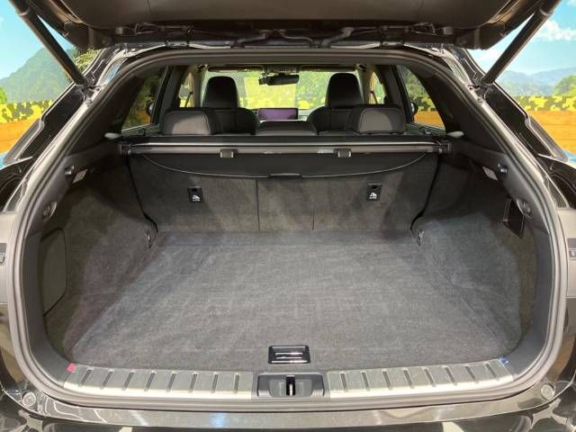 Lexus RX 2018-03 23982-11