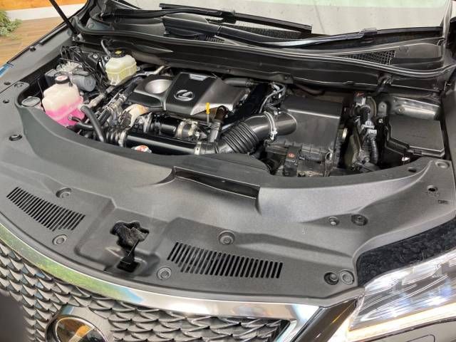 Lexus RX 2018-03 23982-18