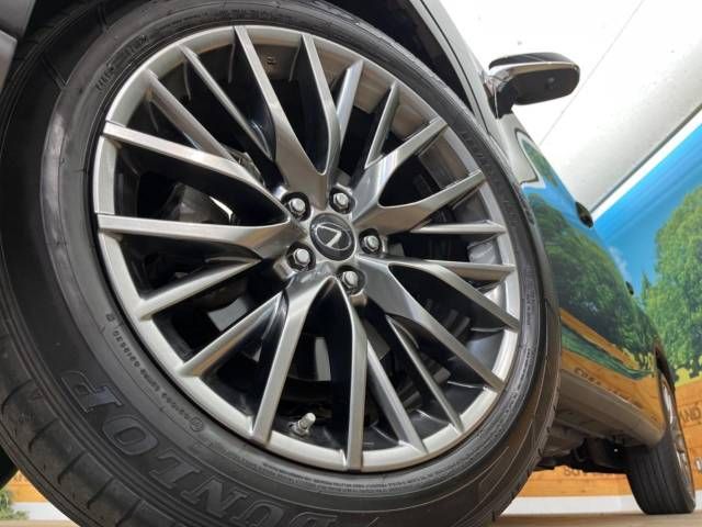 Lexus RX 2018-03 23982-13