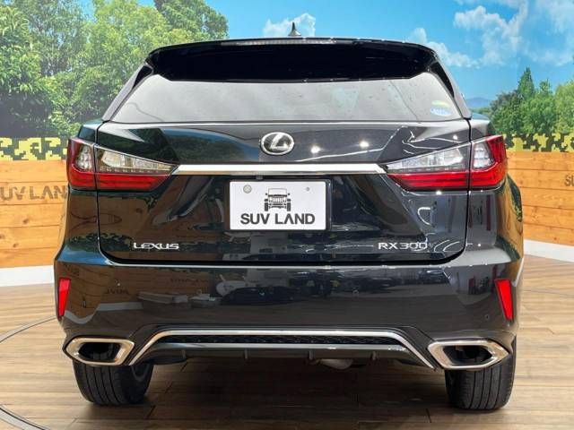 Lexus RX 2018-03 23982-15