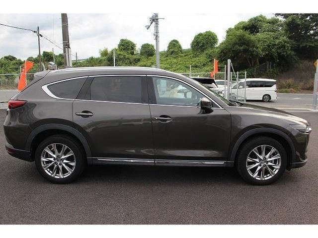 Mazda CX-8 2018-09 22540-6