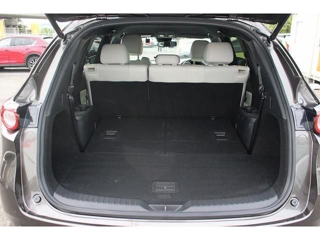 Mazda CX-8 2018-09 22540-14
