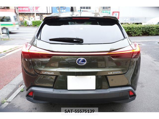Lexus UX 2022-07 239825-8