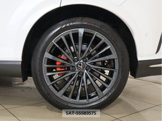Lexus RX 2023-06 334465-29