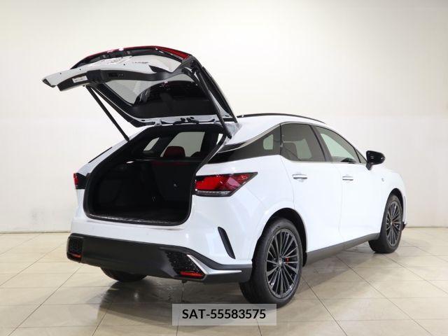 Lexus RX 2023-06 334465-8