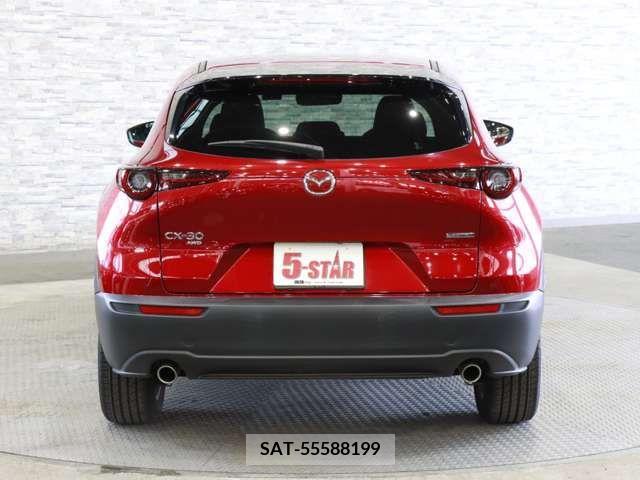 Mazda CX-30 2019-10 325461-12
