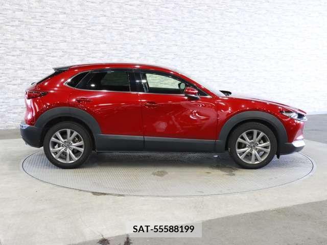 Mazda CX-30 2019-10 325461-11
