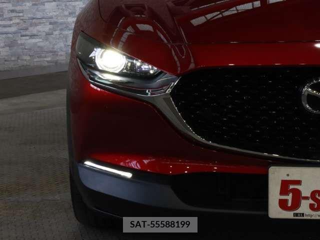 Mazda CX-30 2019-10 325461-13