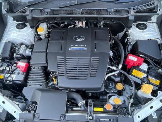 Subaru FORESTER 2023-01 191746-19