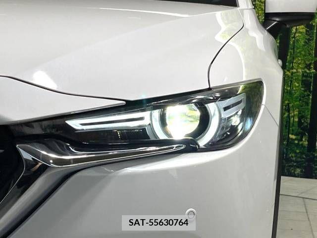 Mazda CX-8 2018-07 308561-13