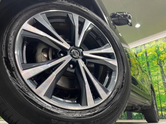 Nissan X-TRAIL 2019-04 10209-14