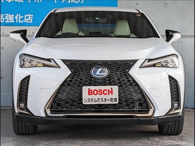 Lexus UX 2019-02 192724-4