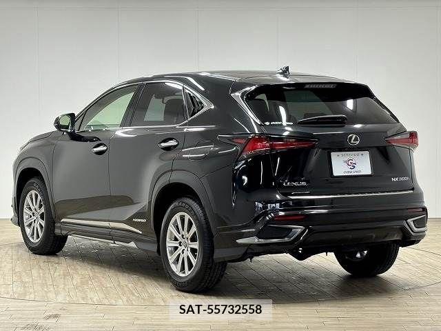 Lexus NX 2018-02 275678-16
