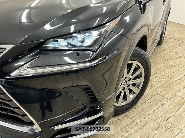 Lexus NX 2018-02 275678-19
