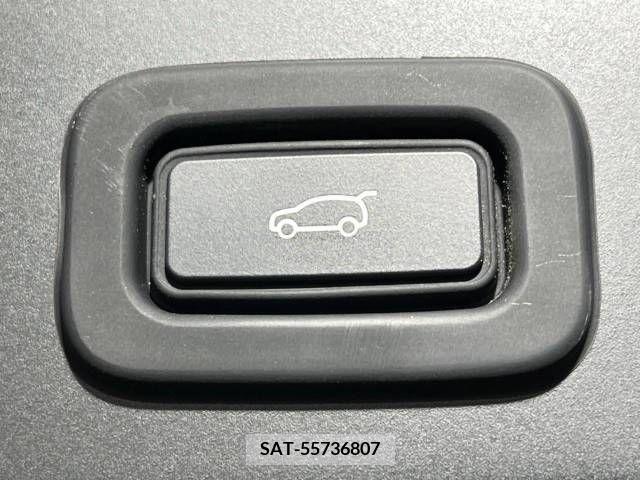 ROVER RANGE ROVER 2020-04 384479-7