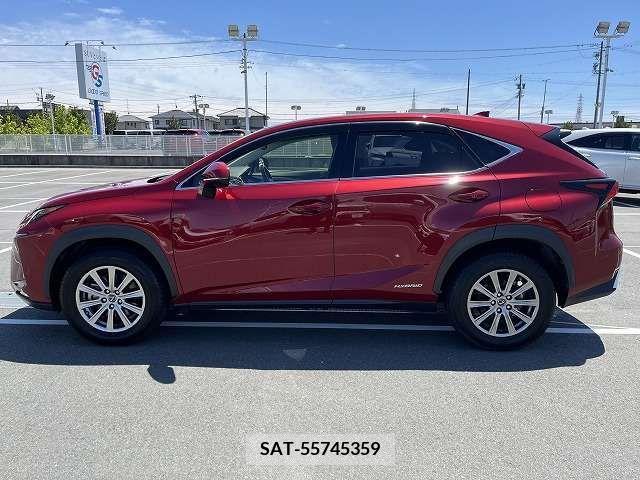 Lexus NX 2018-07 275724-15