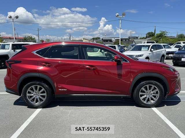 Lexus NX 2018-07 275724-16