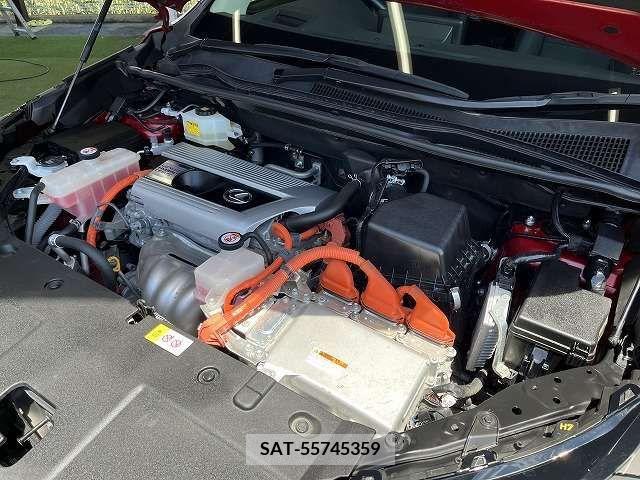 Lexus NX 2018-07 275724-17