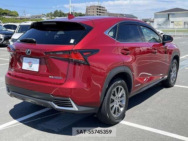 Lexus NX 2018-07 275724-13