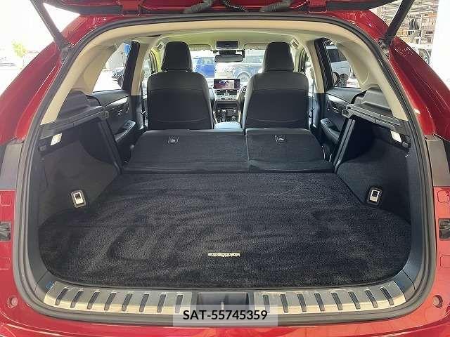 Lexus NX 2018-07 275724-12