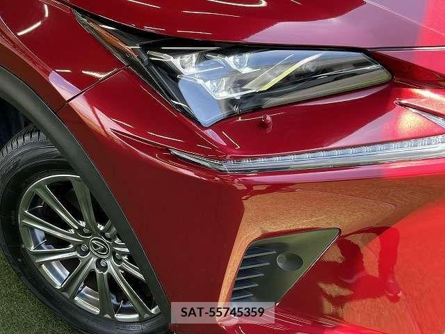 Lexus NX 2018-07 275724-19
