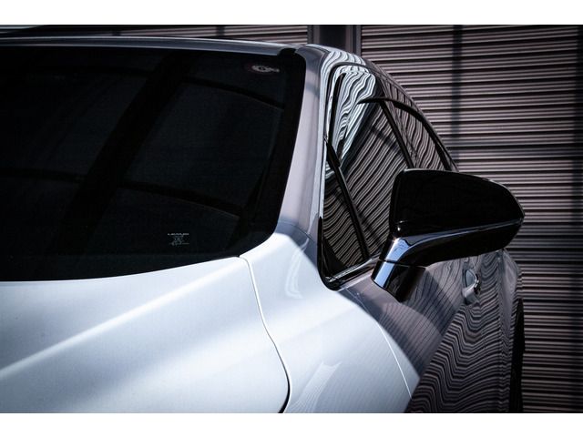 Lexus RX 2016-03 21386-7