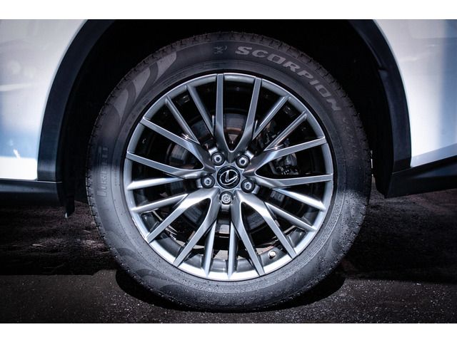 Lexus RX 2016-03 21386-17