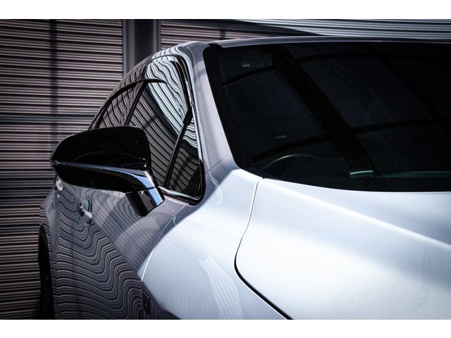 Lexus RX 2016-03 21386-6