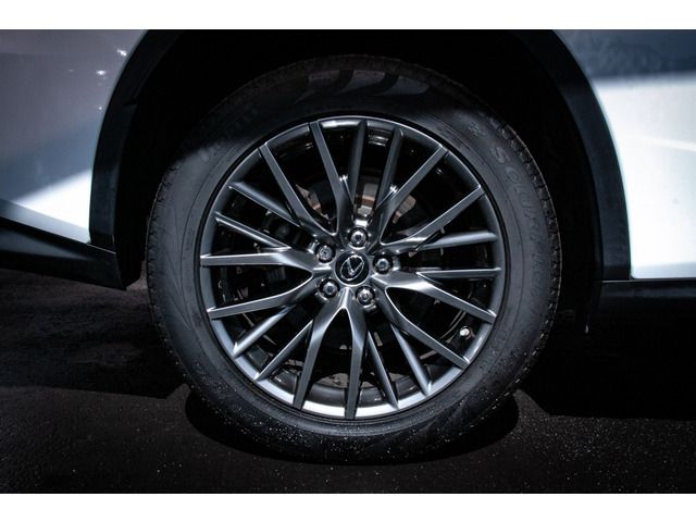 Lexus RX 2016-03 21386-14