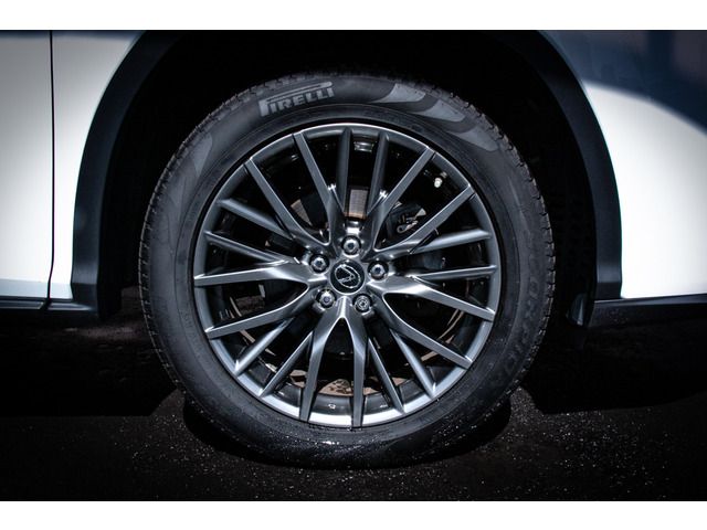 Lexus RX 2016-03 21386-13