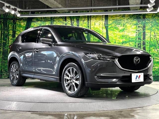Mazda CX-5 2019-01 181275-16