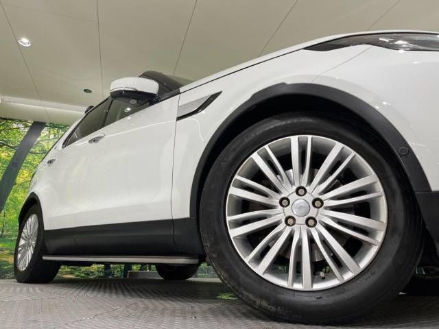 ROVER DISCOVERY 2018-06 17142-11