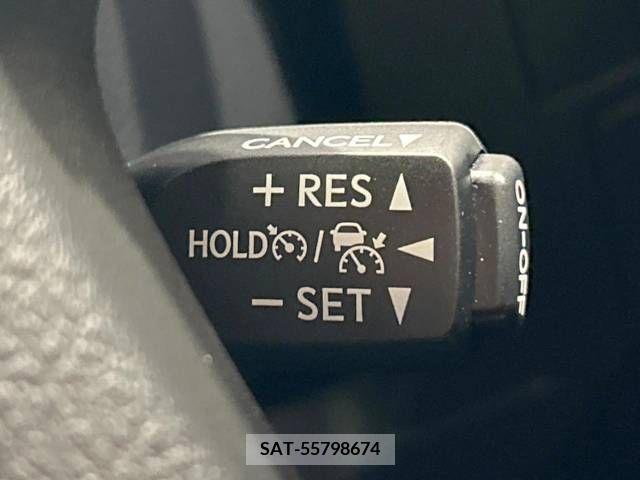 Toyota ALPHARD 2021-06 259042-8