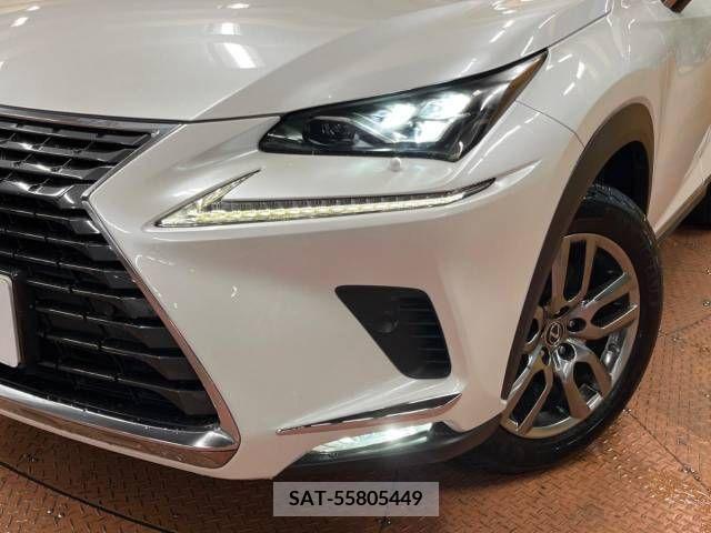 Lexus NX 2018-02 354026-11