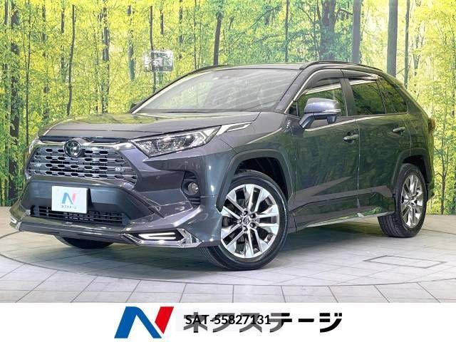 Toyota RAV4 2019-07 236701-0