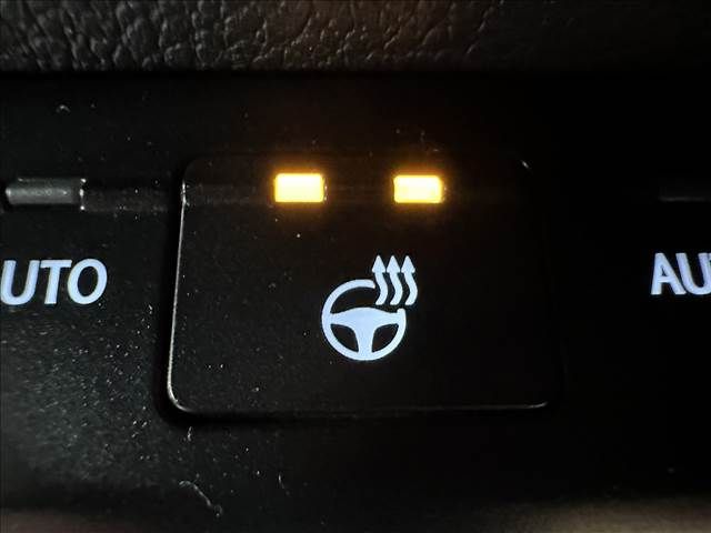 Lexus UX 2019-07 12039-7