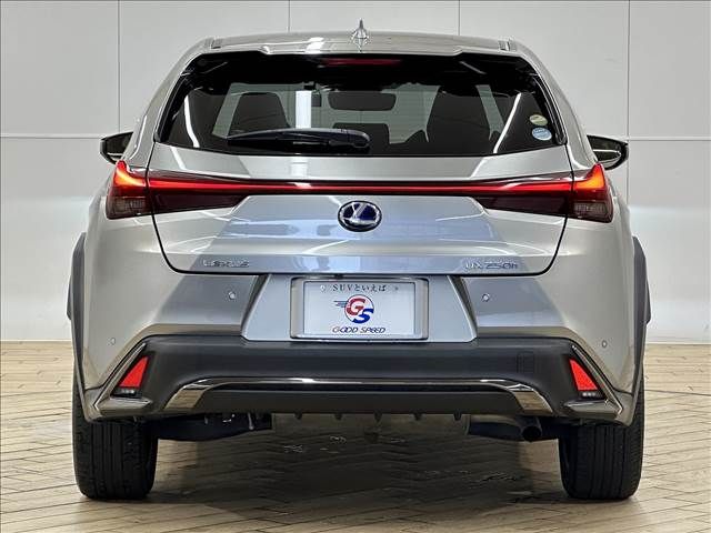 Lexus UX 2019-07 12039-14
