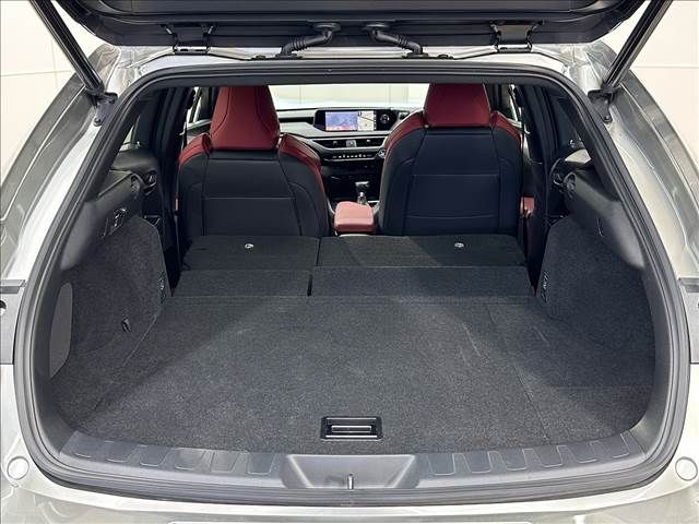 Lexus UX 2019-07 12039-13