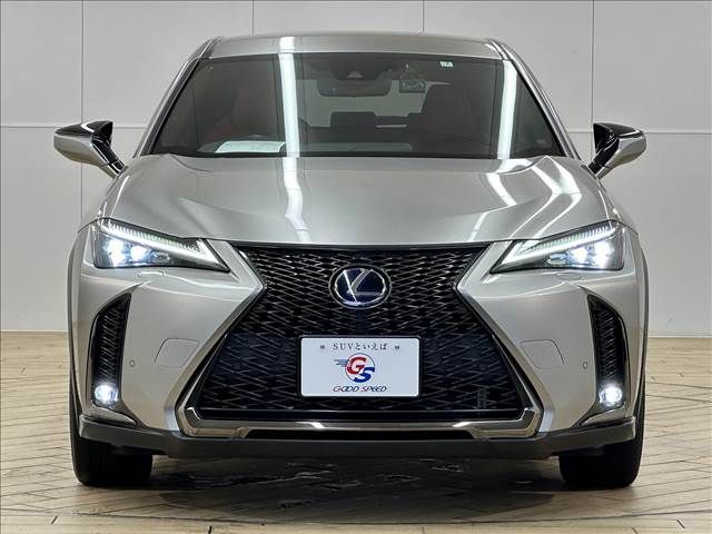 Lexus UX 2019-07 12039-2