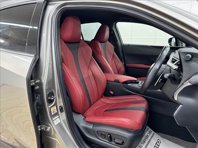 Lexus UX 2019-07 12039-11