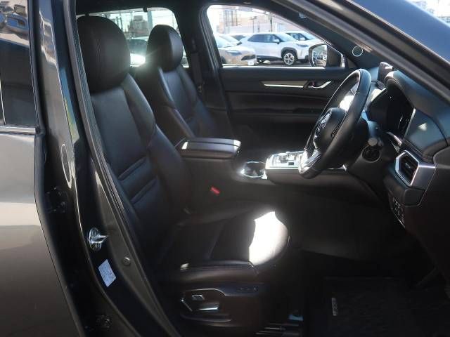 Mazda CX-8 2019-01 186554-8